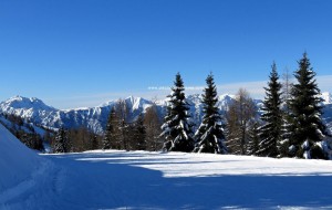 piazzatorreskiarea 017